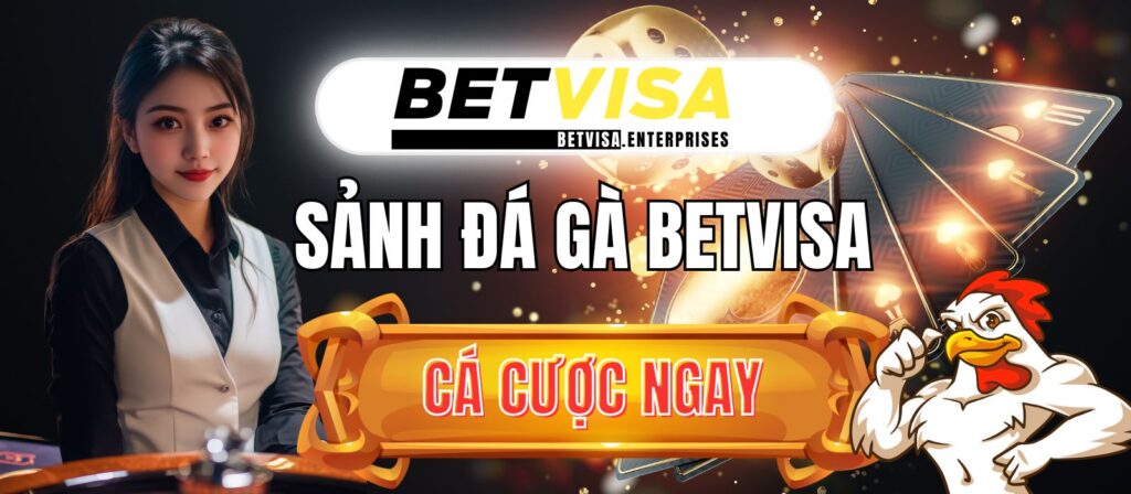 betvisa